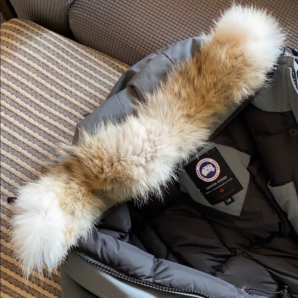 Canada Goose Coyote Fur Triming